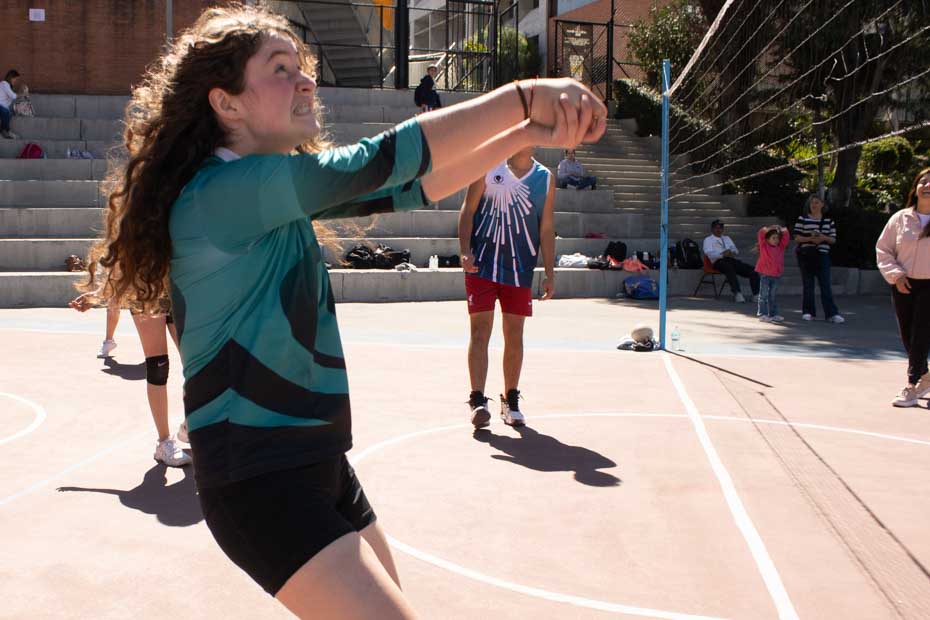 Ir a la Siguiente Foto