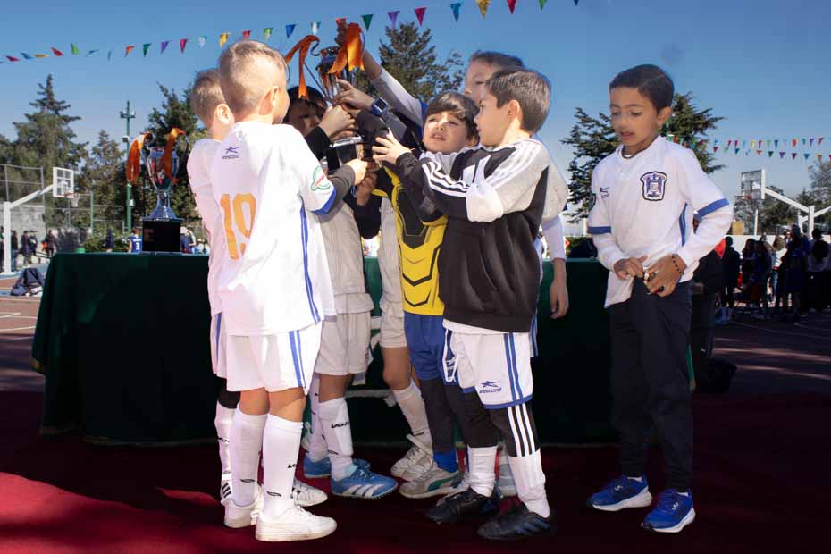 Ir a la Siguiente Foto