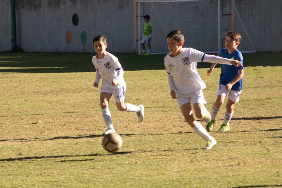 Ir a la Siguiente Foto