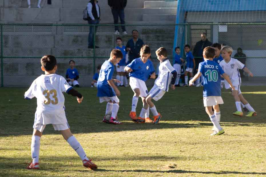 Ir a la Siguiente Foto
