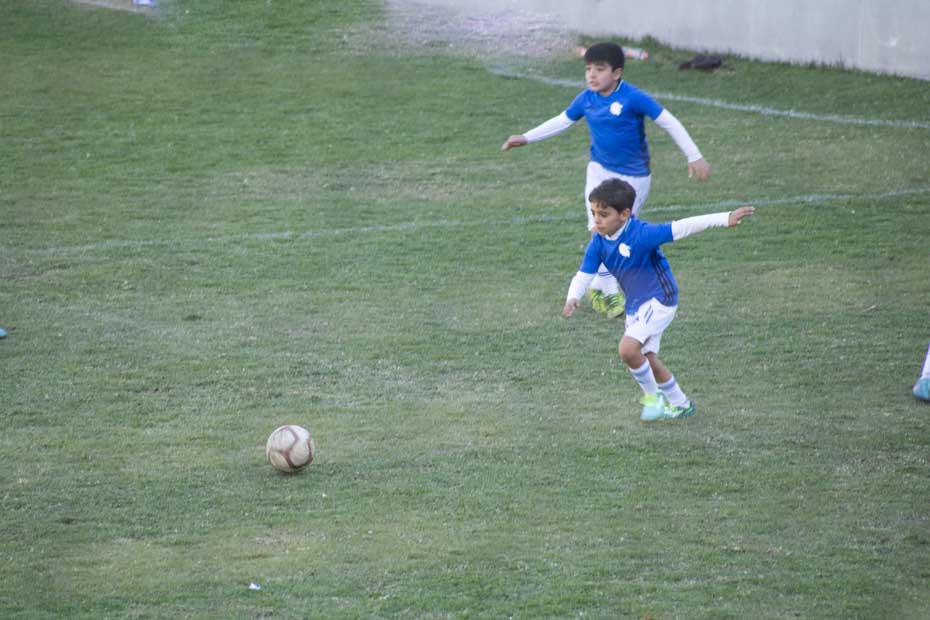 Ir a la Siguiente Foto