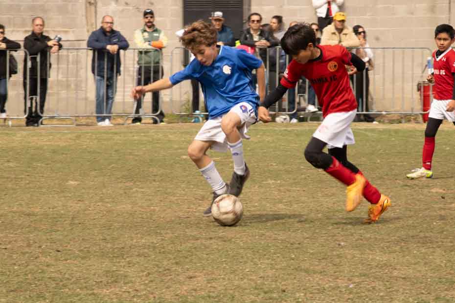 Ir a la Siguiente Foto