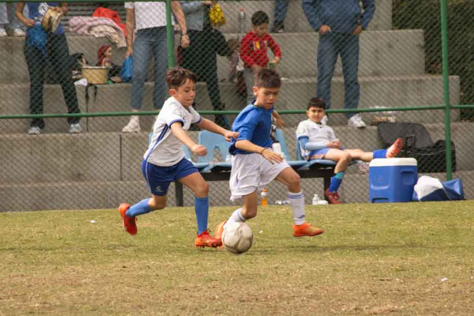 Ir a la Siguiente Foto