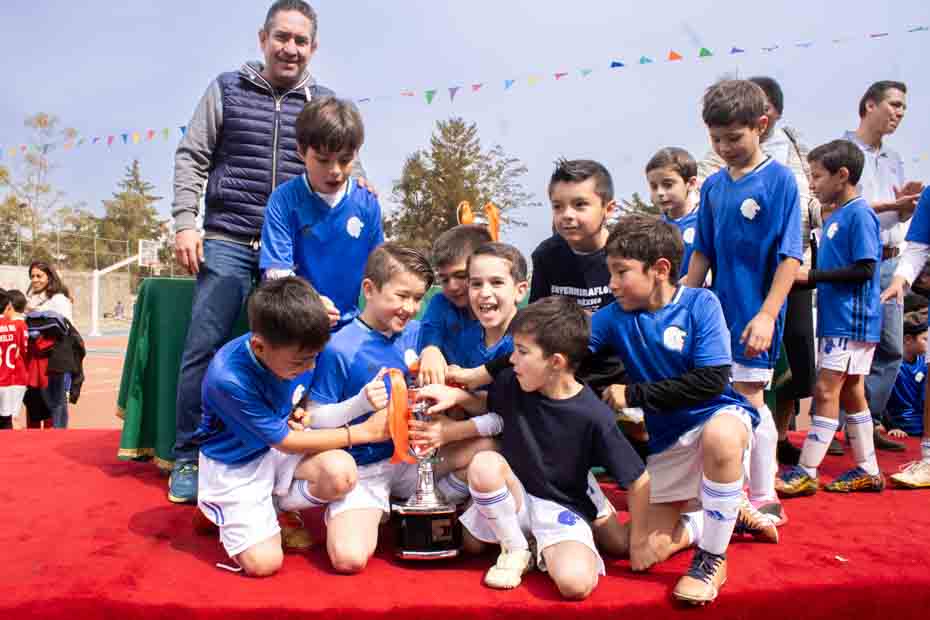 Ir a la Siguiente Foto