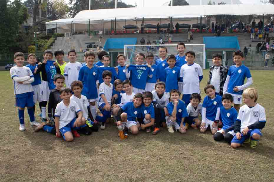 Ir a la Siguiente Foto