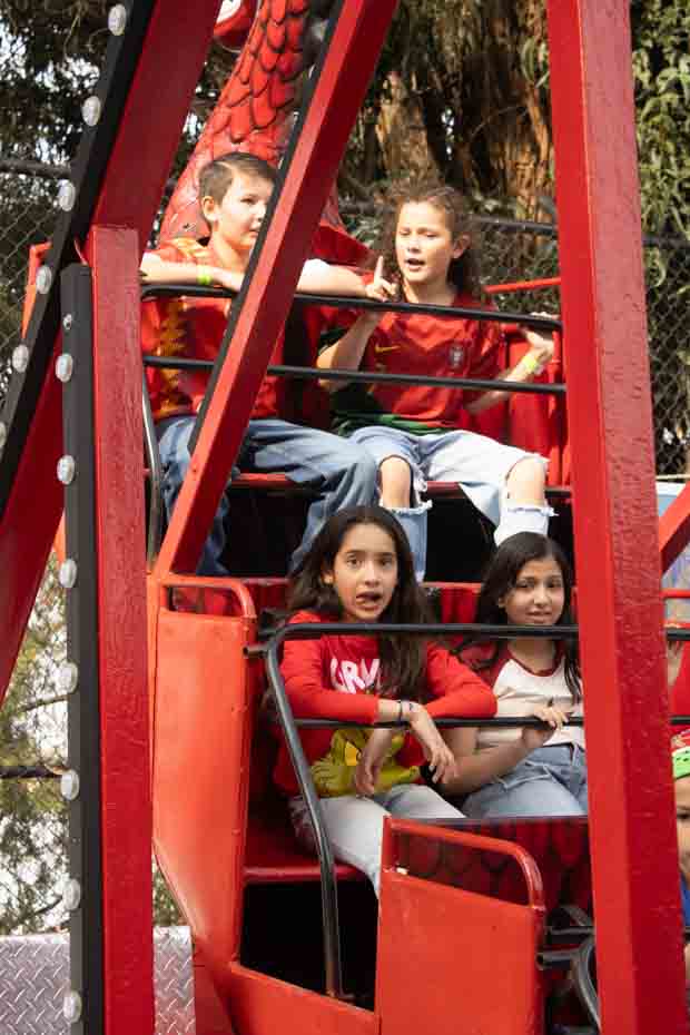 Ir a la Siguiente Foto