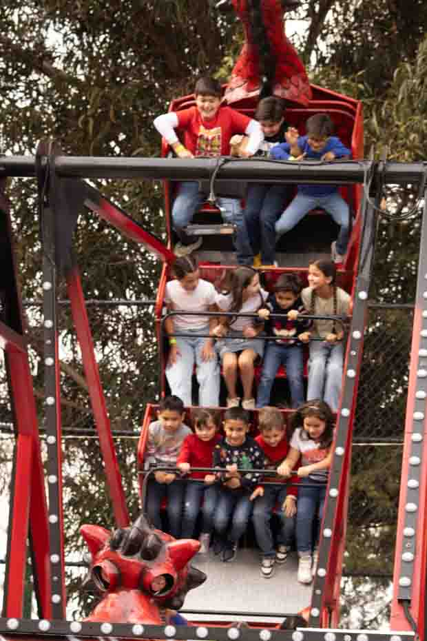 Ir a la Siguiente Foto