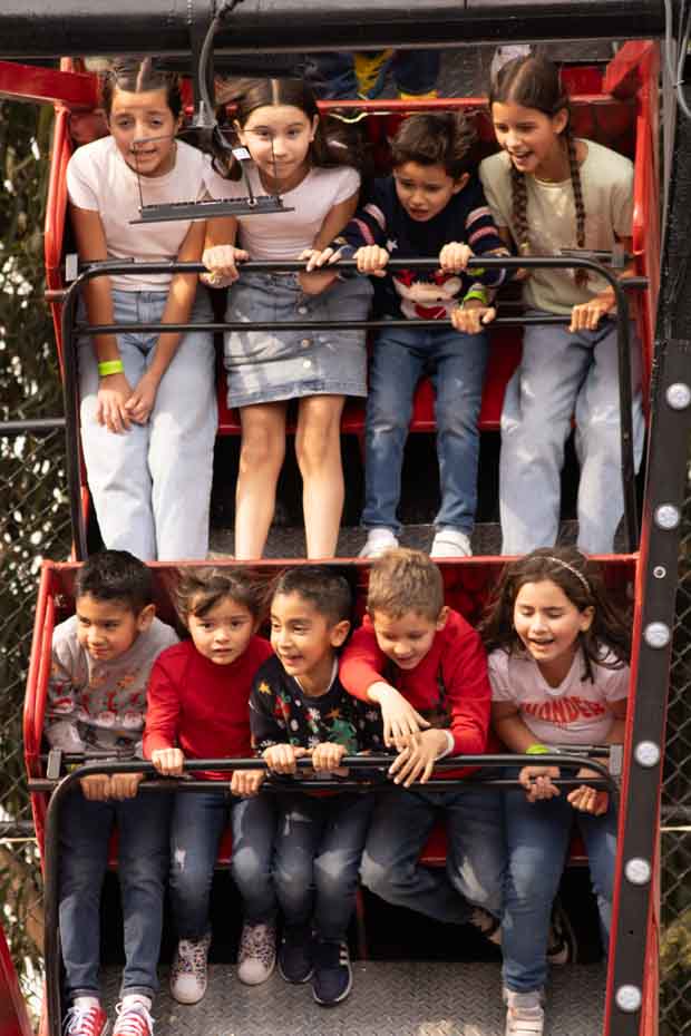 Ir a la Siguiente Foto