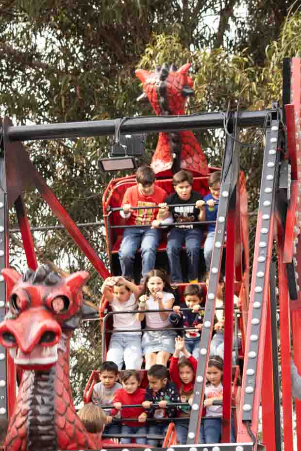 Ir a la Siguiente Foto