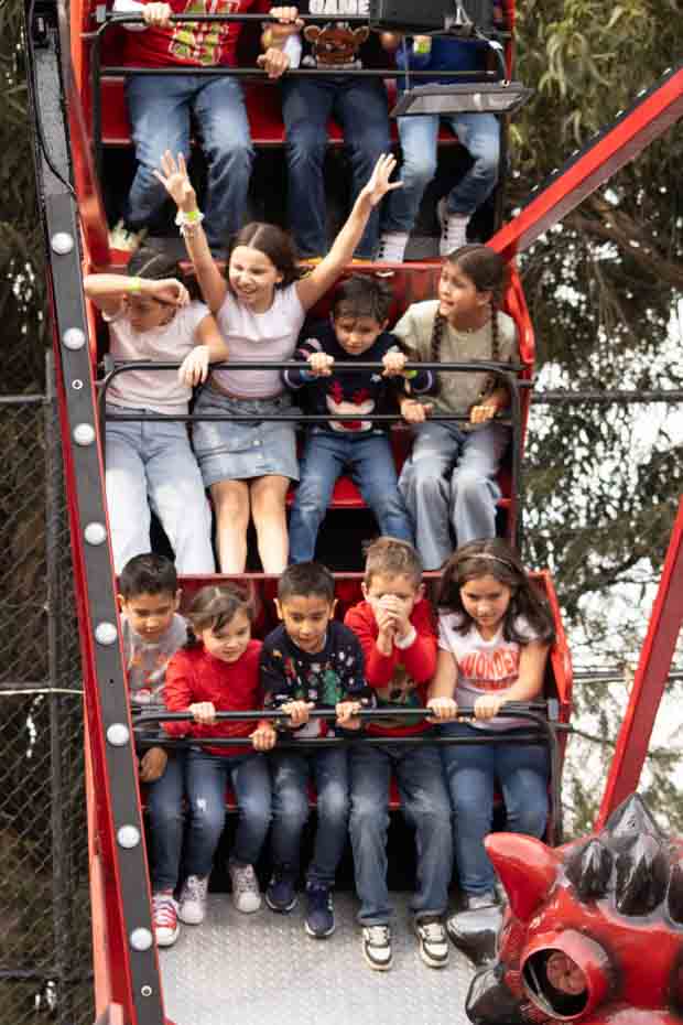 Ir a la Siguiente Foto