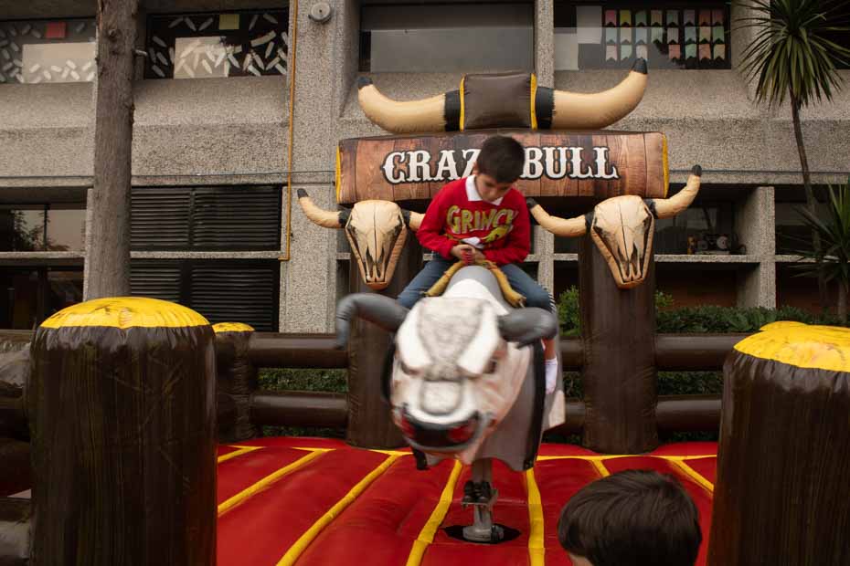 Ir a la Siguiente Foto