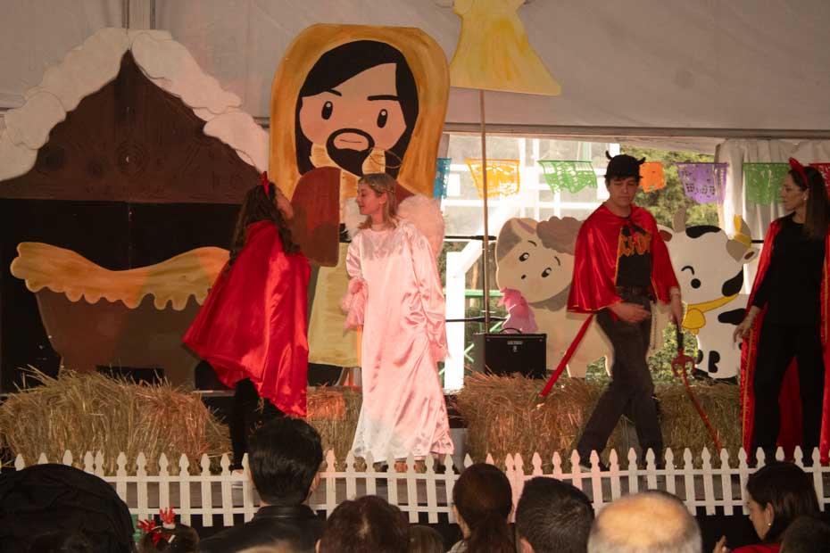 Ir a la Siguiente Foto