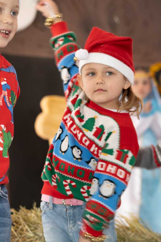 Ir a la Siguiente Foto