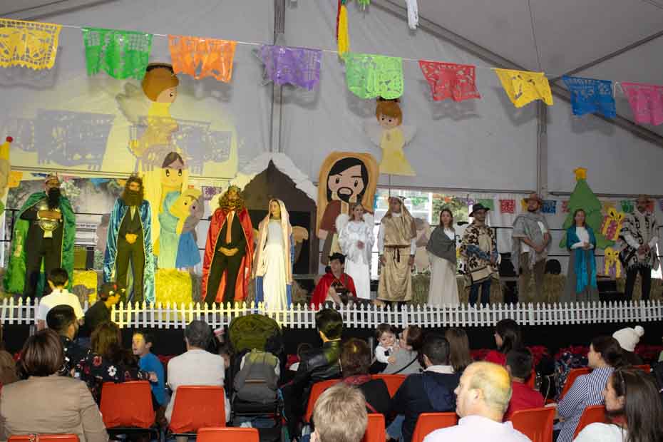 Ir a la Siguiente Foto