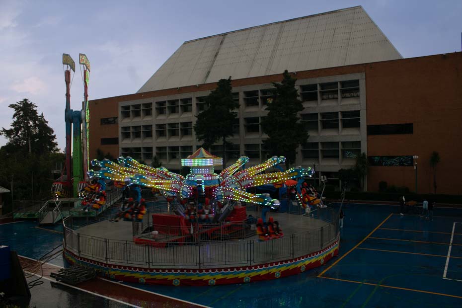 Ir a la Siguiente Foto