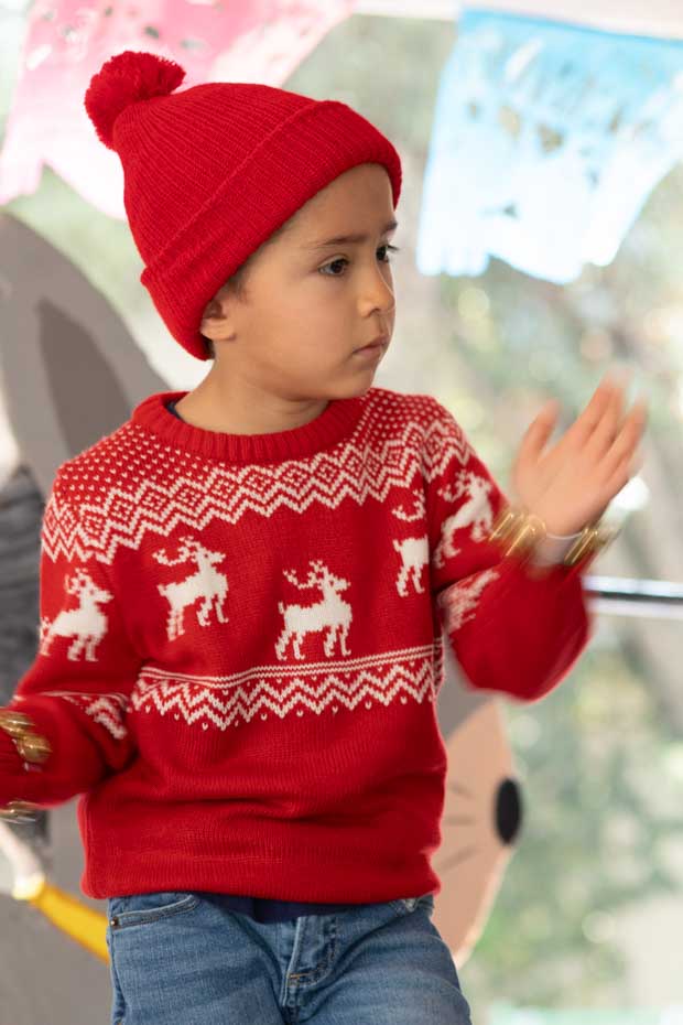 Ir a la Siguiente Foto