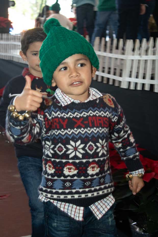 Ir a la Siguiente Foto