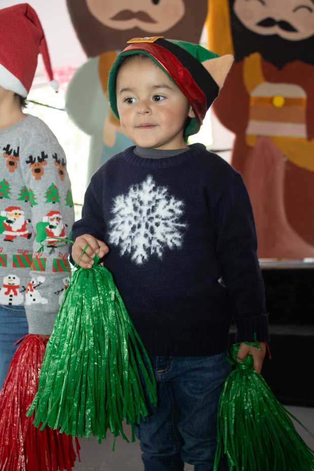 Ir a la Siguiente Foto