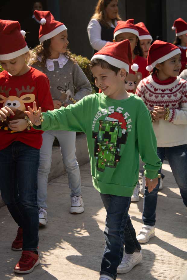 Ir a la Siguiente Foto