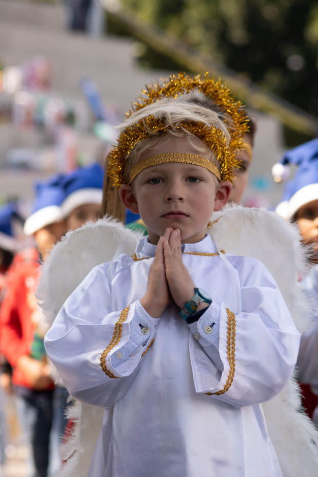 Ir a la Siguiente Foto