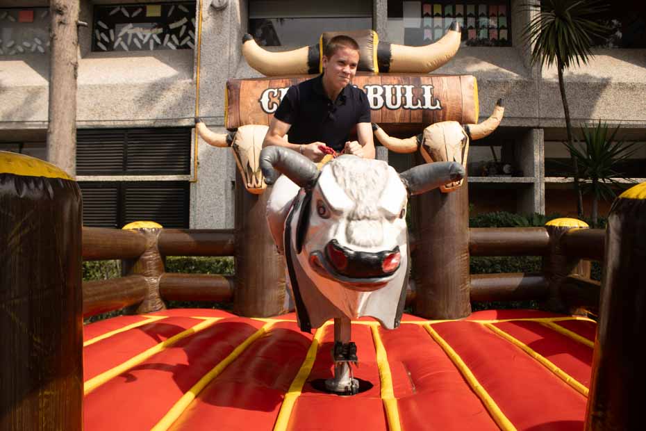 Ir a la Siguiente Foto