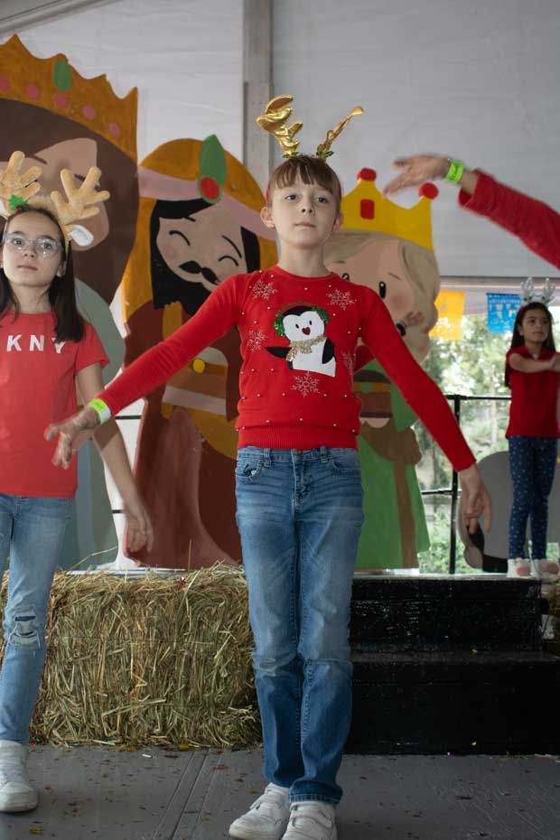 Ir a la Siguiente Foto