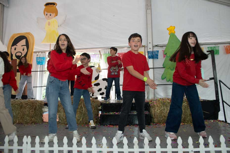 Ir a la Siguiente Foto