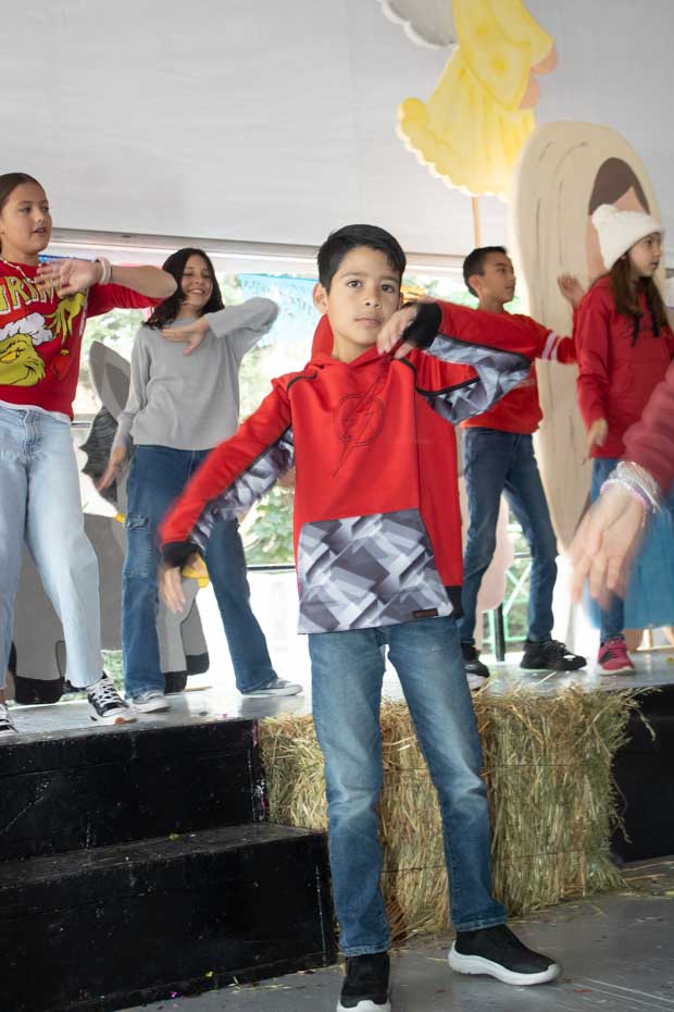 Ir a la Siguiente Foto