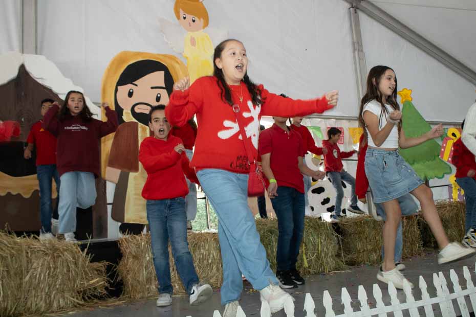 Ir a la Siguiente Foto