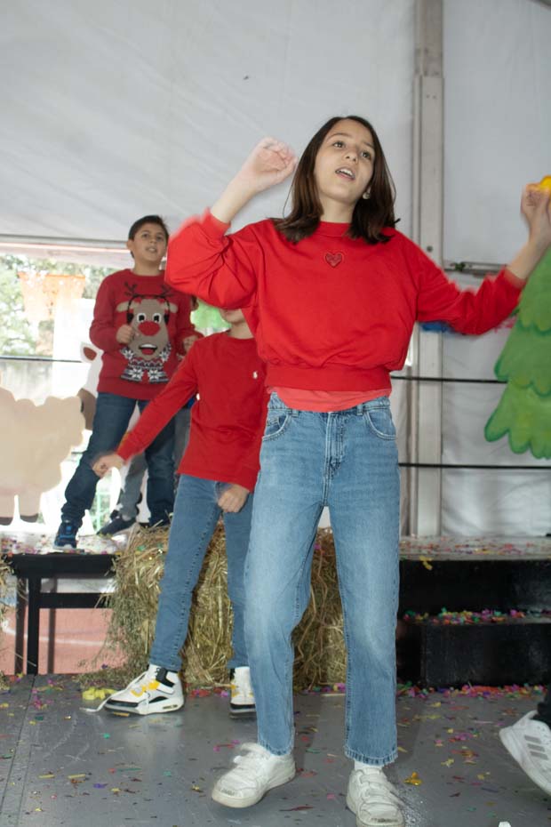 Ir a la Siguiente Foto