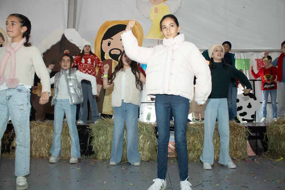 Ir a la Siguiente Foto