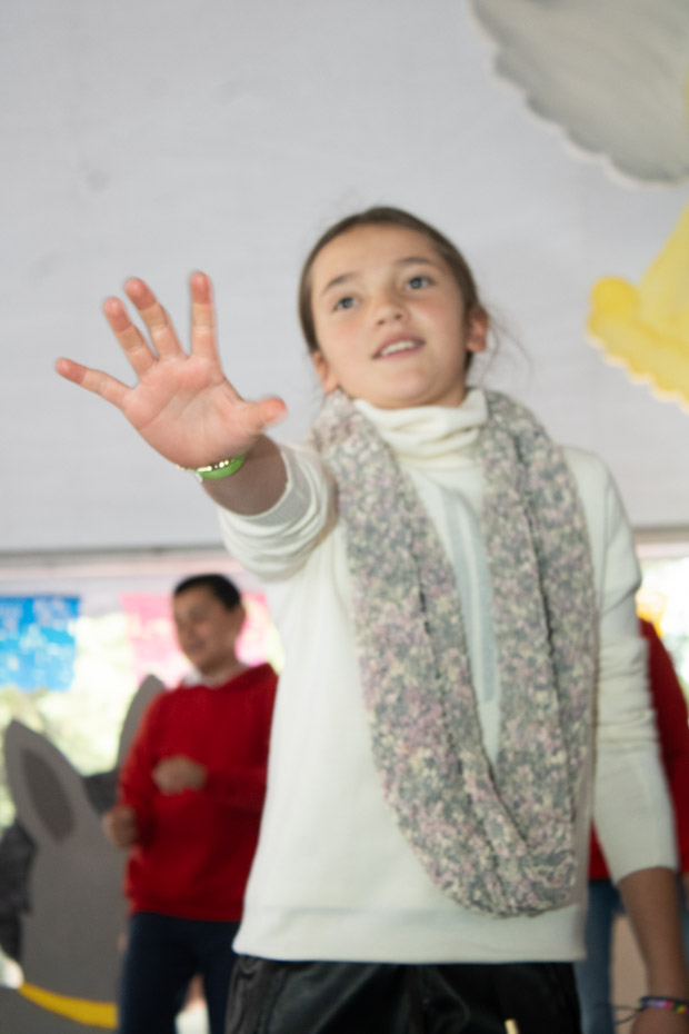 Ir a la Siguiente Foto