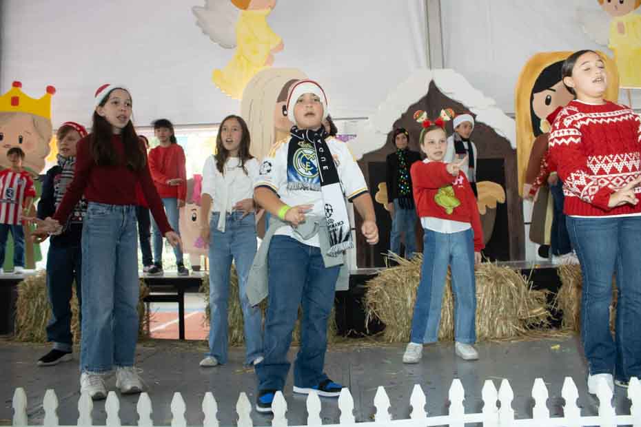 Ir a la Siguiente Foto