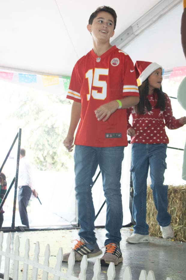 Ir a la Siguiente Foto