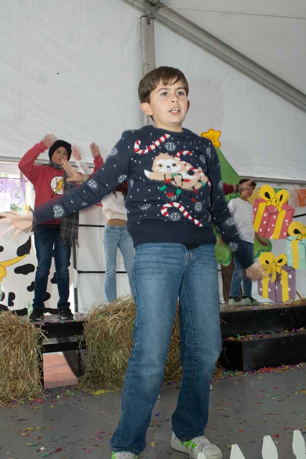 Ir a la Siguiente Foto