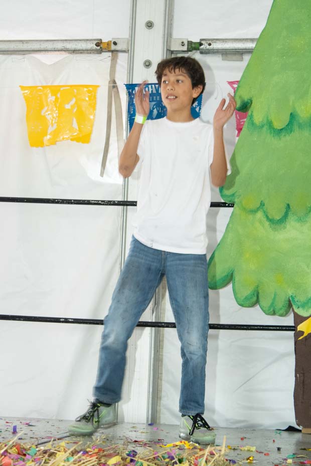 Ir a la Siguiente Foto