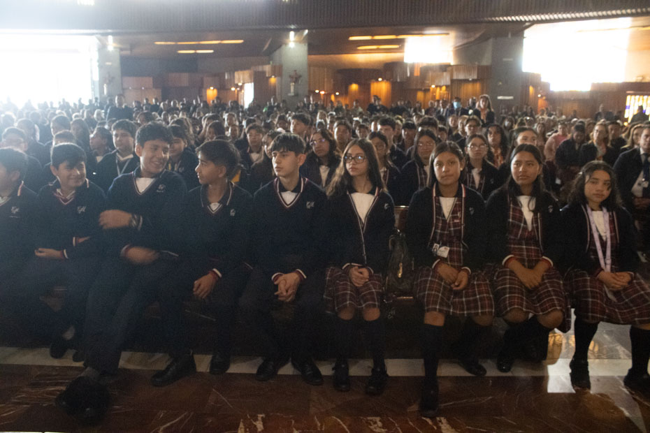 Ir a la Siguiente Foto