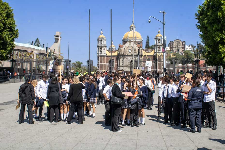 Ir a la Siguiente Foto