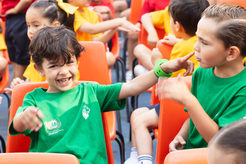 Ir a la Siguiente Foto