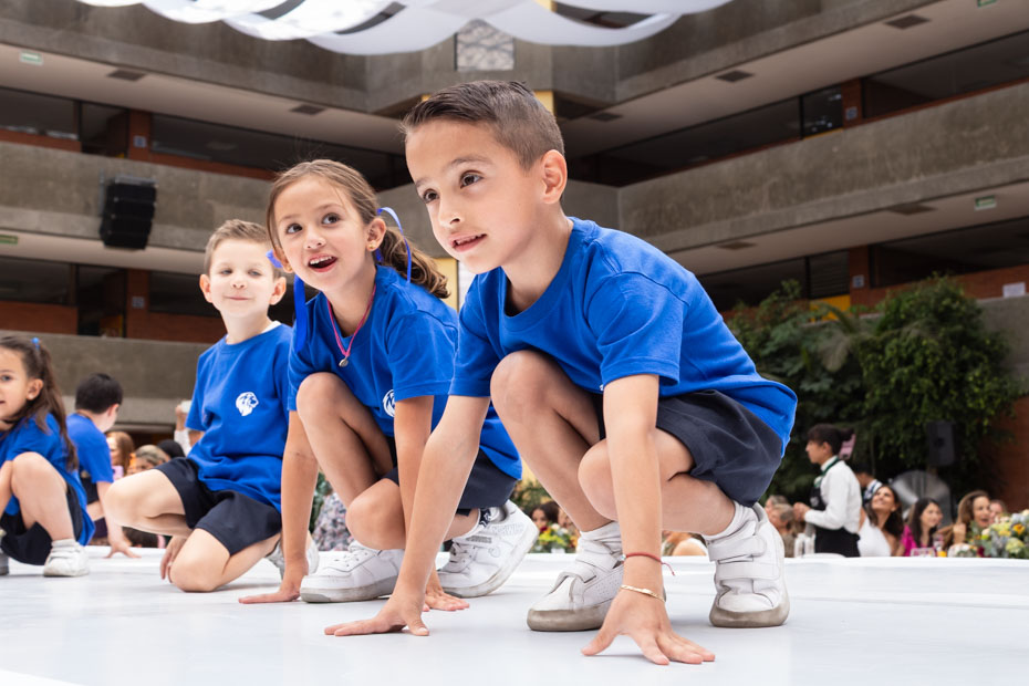 Ir a la Siguiente Foto