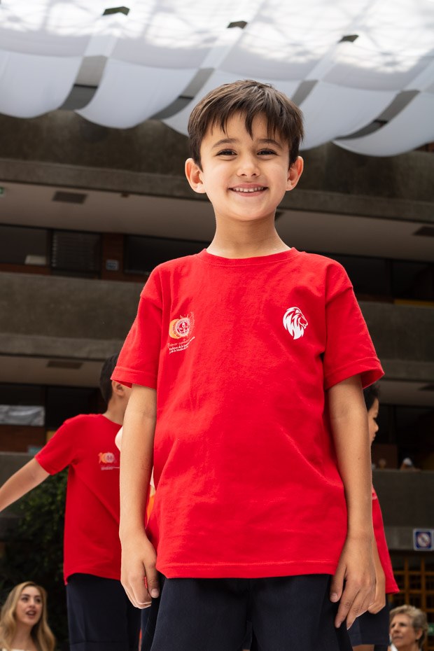 Ir a la Siguiente Foto