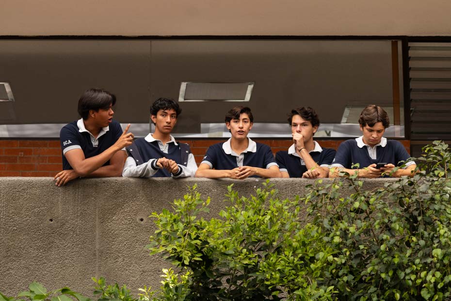 Ir a la Siguiente Foto