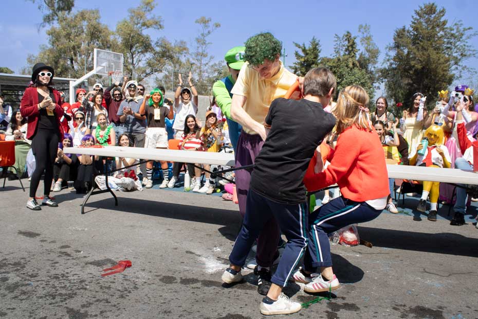 Ir a la Siguiente Foto