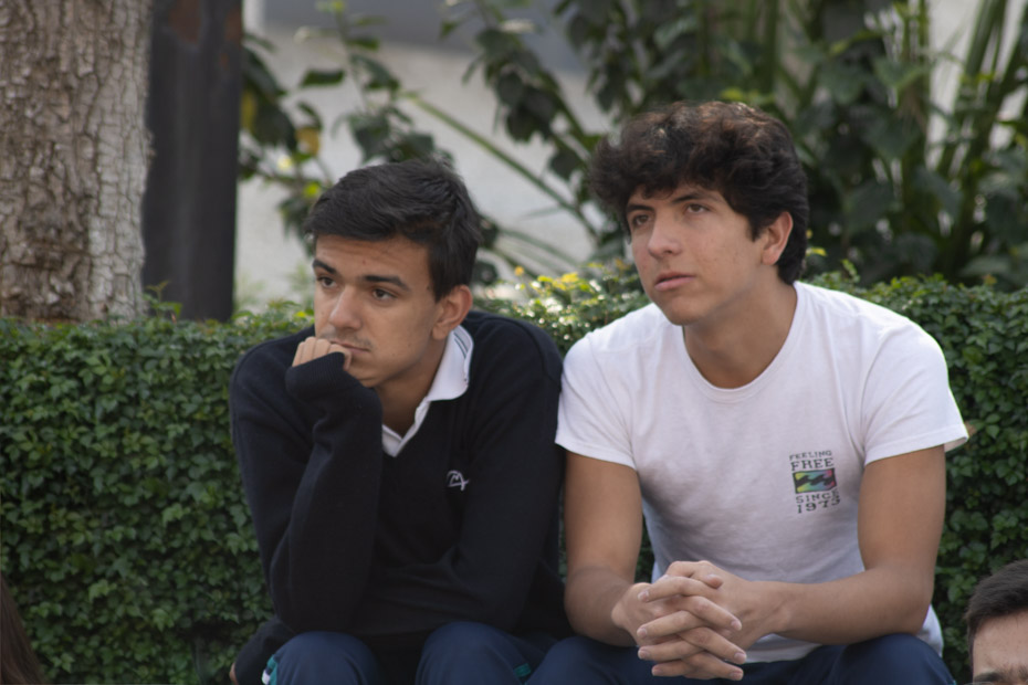 Ir a la Siguiente Foto