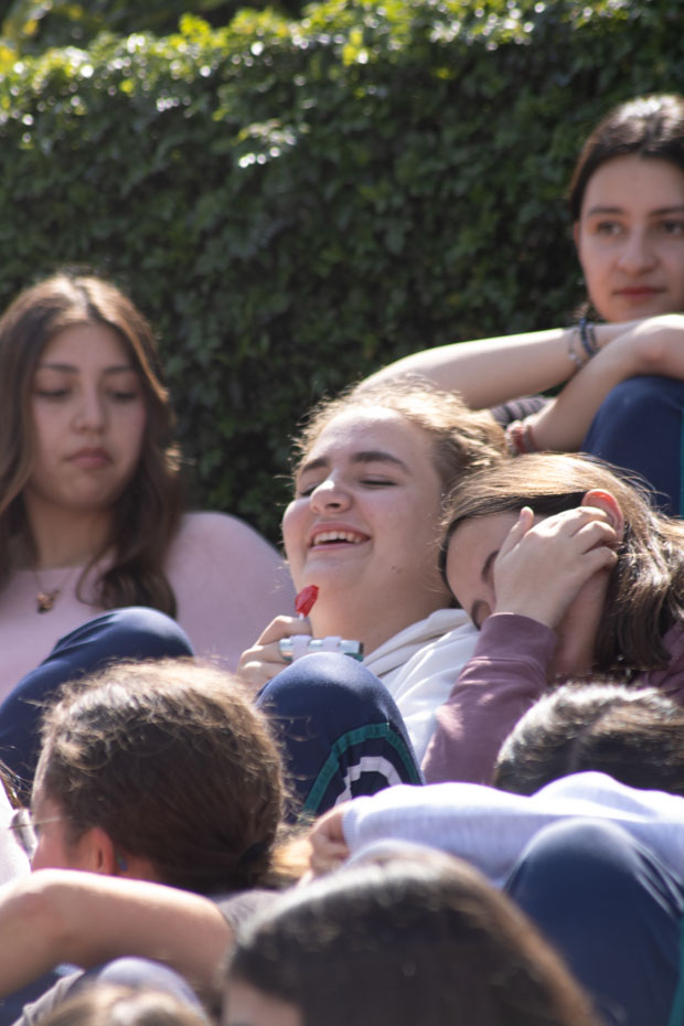 Ir a la Siguiente Foto