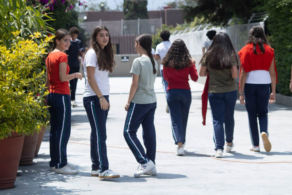 Ir a la Siguiente Foto