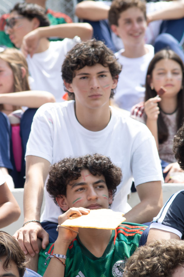 Ir a la Siguiente Foto