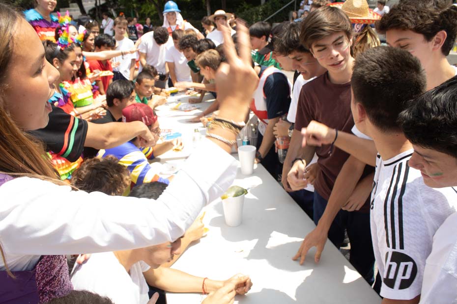 Ir a la Siguiente Foto