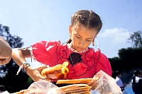 1809202416septiembre_primaria202496.jpg