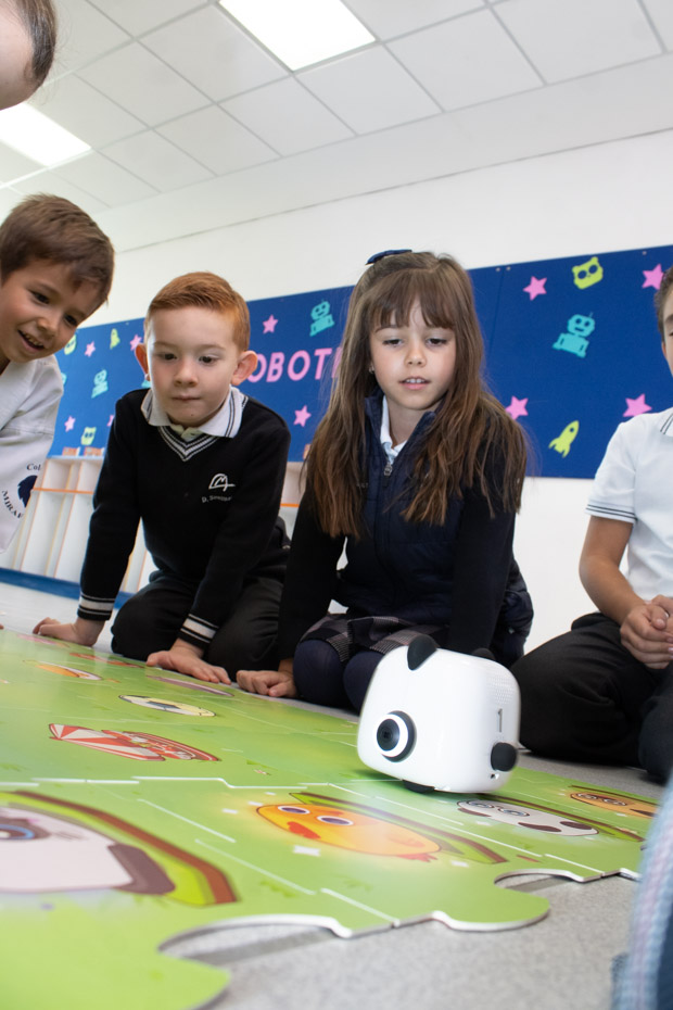 Ir a la Siguiente Foto